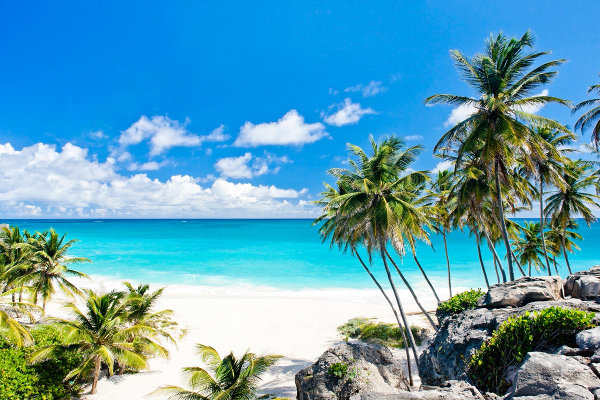 TopCruiseTips's tweet photo. Cruising is simply the best way to discover the Caribbean dreamland. Jump onboard #MSCPreziosa and live an experience like no other. 🏝

Wi-Fi and drinks package included. 🍾📶 #MSCCruises

Discover our deals: https://t.co/ihHTjxmHXH https://t.co/pCoM5LrFct