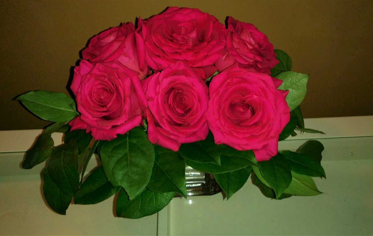 FaithAnneBond's tweet photo. ... @ItsKatesGarden is one of those warm, welcoming places that rises up to greet you when you walk through the door … and I can’t recommend the #floral #workshops enough … lifts my spirits each and every time … thank you, Kate! #roses #ranunculus #bonhomie #gratitude #joy https://t.co/lebLwFwkSF