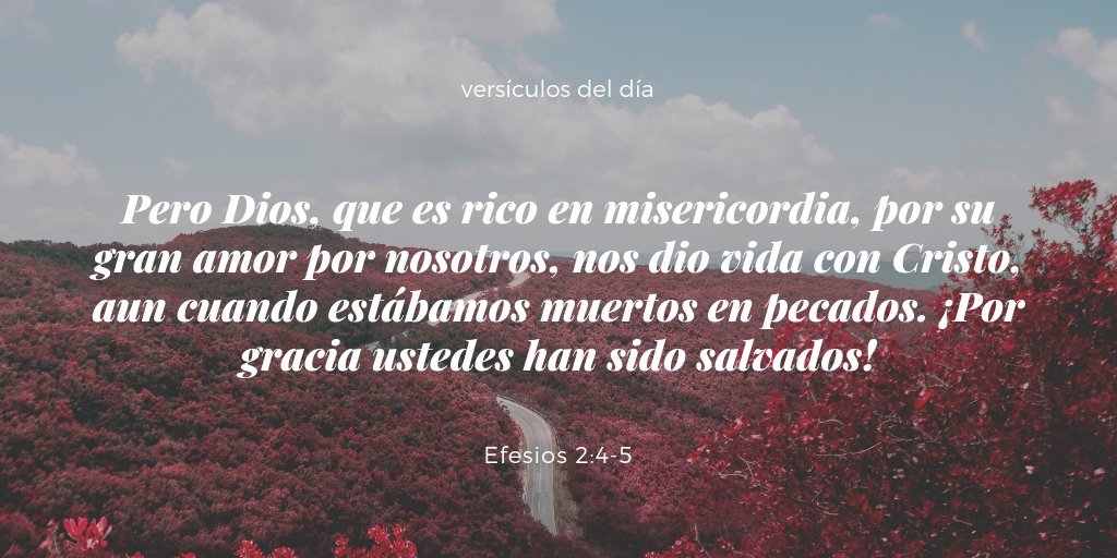 Proyecto_Biblia's tweet photo. #diosesbueno
#diosdebendicion
#diosdepaz
#disdeprosperidad
#diosdemilagros
#todoeltiempo
#diosdemisericordia
#diosdeamor
#diosaltisimo
#diosadorador
#diosdeperdon https://t.co/LeltMTqrzf