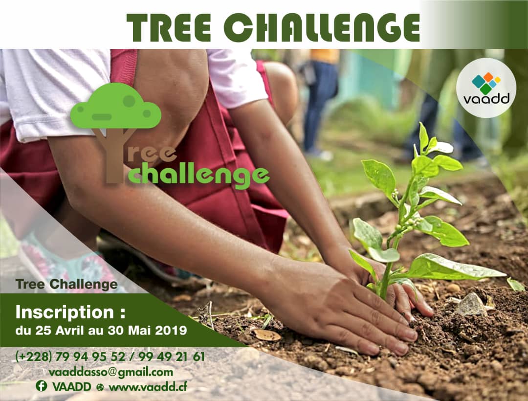 vaaddasso's tweet photo. Participez ! 
 #TreeChallenge #Togo #ODD15  https://t.co/YxGhzkQAU6 https://t.co/0lW1I2g73e