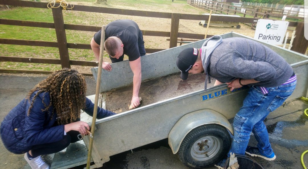 Tonicha James tweet media