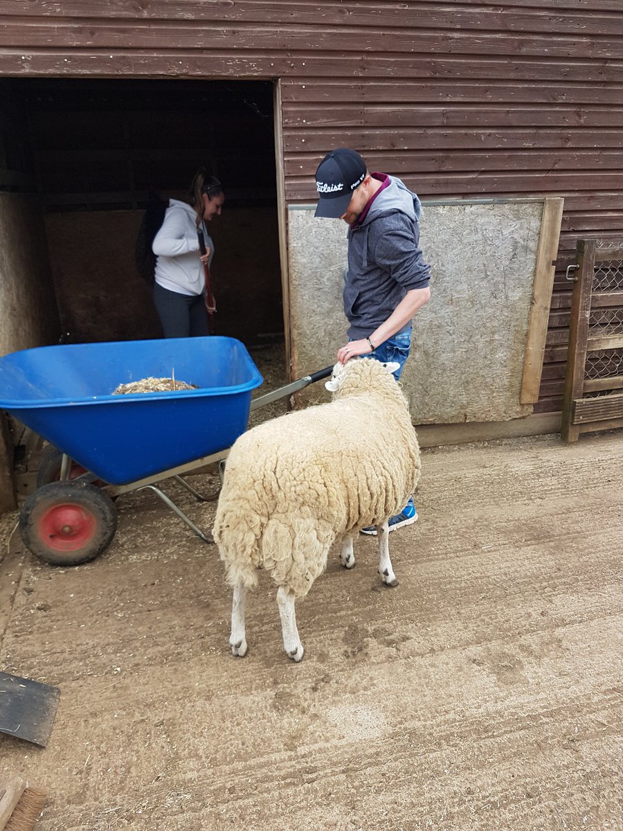 Tonicha James tweet media