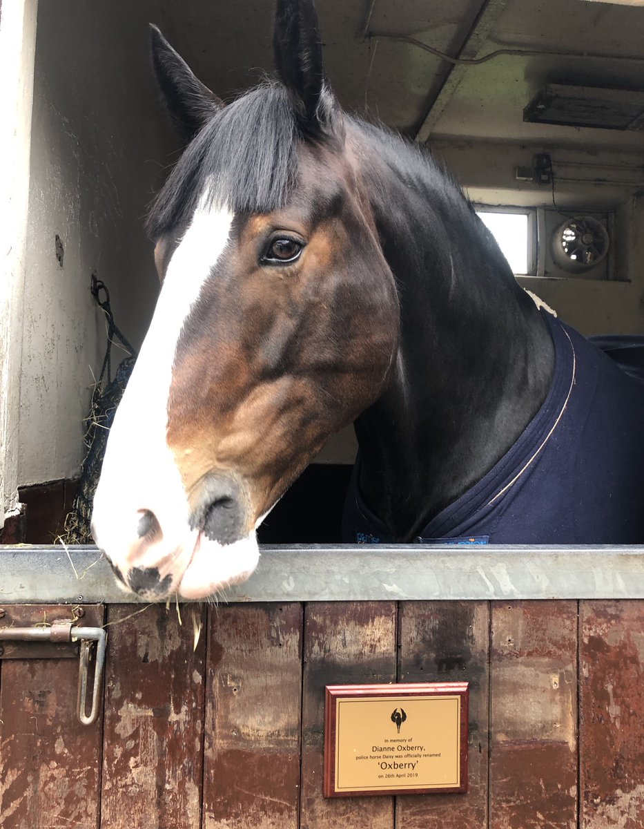 Merseyside Police tweet media