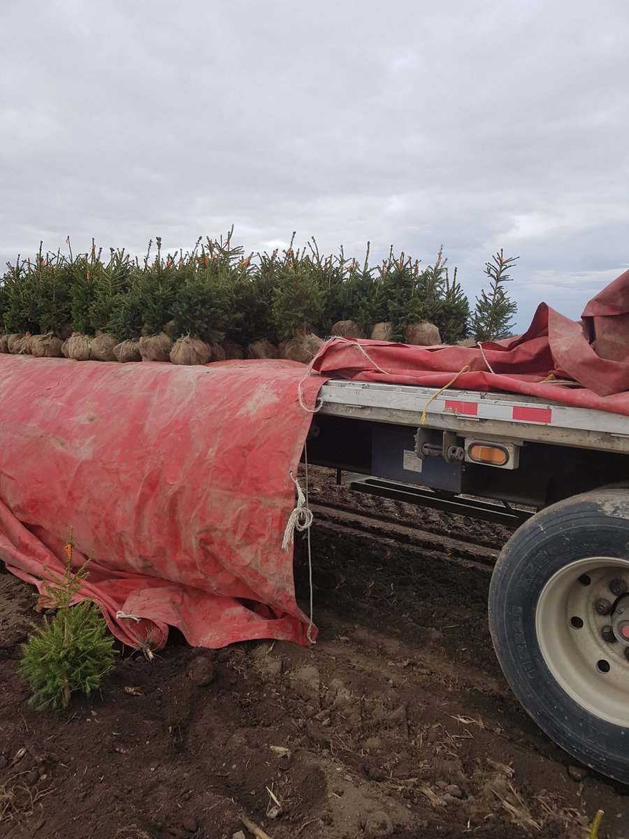 Steve Terpstra tweet media