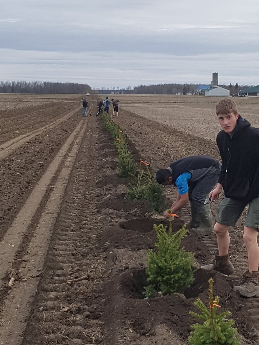 Steve Terpstra tweet media