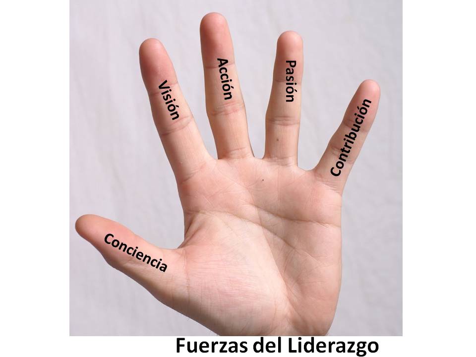 presbiterorojas's tweet photo. @JCTapiaLMB https://t.co/iQN9UxRpmS