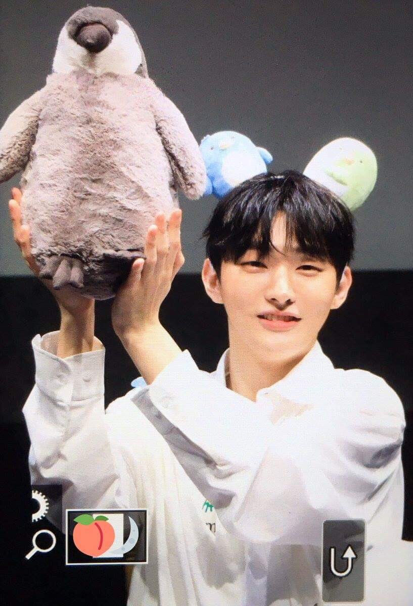memeking_yjs tweet picture