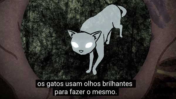 ogateiro's tweet photo. Como os gatos enxergam à noite?

Confira vídeos com curiosidades sobre felinos e outros animais!

https://t.co/pICBK3HkiG https://t.co/UiXc8rTNuv