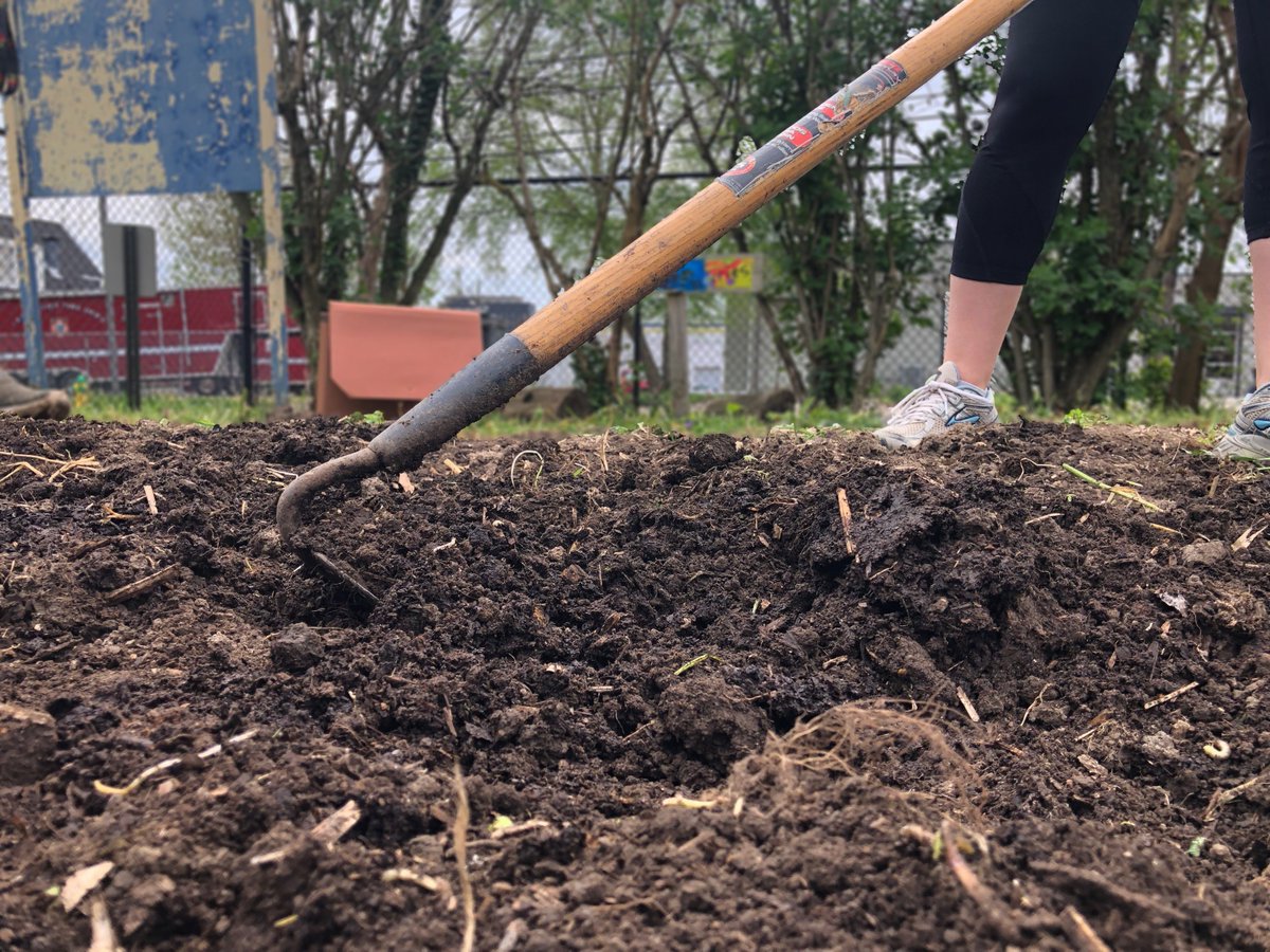 Lextran's tweet photo. We topped off #getonboard day by volunteering for #LexGiveBack week. We worked with @seedleafLex planting watermelons, tomatoes, & herbs in their U-Pick London Ferrell Garden on 3rd St. (accessible by Rt. 9 😉). Come by later & pick some fruits, veggies, & herbs planted by us! https://t.co/md1eKpNs0w