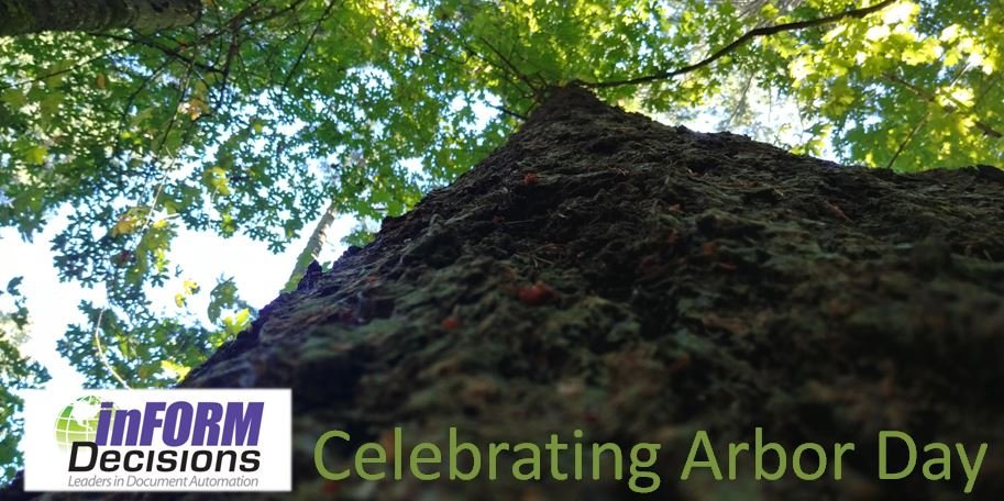 orlando_ferrer's tweet photo. Good feeling being part of a tech company, like #inFORMDecisions, that helps other companies in the #IBMi community save paper, trees, and the environment with our Electronic Document Management software. Happy #ArborDay!!! https://t.co/SQ57GyMqyd
