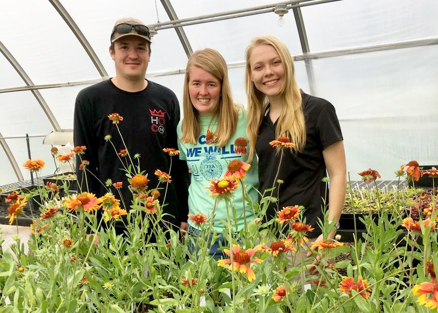 unlagrohort's tweet photo. Native #Plant sale fundraiser TODAY April 26 for the #UNL #Range Management Club 9am-4pm while supplies last. Teaching Greenhouse East, East Campus @unlgrazing @unlagrohort @UNLSNR #NativeGrasses #NativeForbs https://t.co/2P8bIJlHeO
