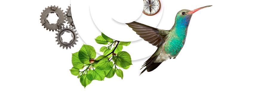 Op 16 mei van 1800 tot 2100 is er weer een Meetup met Change Makers. We gaan aan de slag met het voorbereiden van Meetups in het hele land. <a href="/EAFriedeberg/">Erik A. Friedeberg</a> zal hier ook een presentatie geven. Meer info en aanmelden via: ow.ly/ZEpf30owygZ