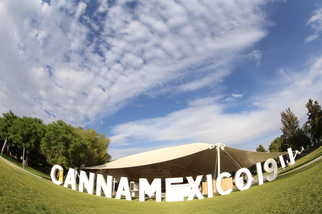 ¡Listos para el último día de actividades de #CannaMexico World Summit 2019!