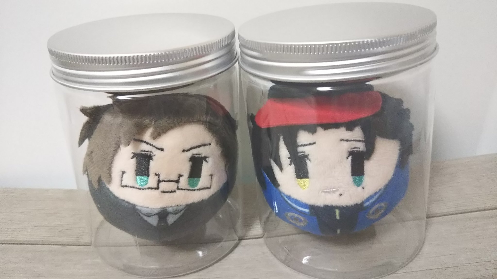 エリヒナ ぬいぐるみは家から持ち出さない派なのですが そのまま飾っとくのも埃かぶるので瓶詰めにしてみました ガラス瓶ではなくダイソーのプラ製 マリモ感 T Co Vphjdr1a8g Twitter