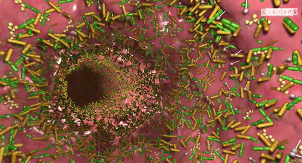 mibiogate's tweet image. #21juin #Nantes Avant d'agiter vos microbiotes au son de la musique, il y a le Congrès Mibiogate : comment le #microbiote interagit avec son environnement #sain ou #maladieschroniques avec Intervenants extérieurs + 5 thésards Mibiogate
urlz.fr/9BkS @UnivNantes