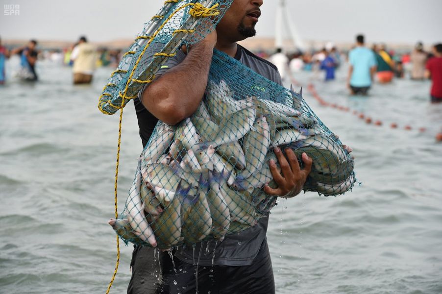 "واس" ترصد مظاهر الاحتفاء بمهرجان الحريد بفرسان.
spa.gov.sa/1917553
#واس