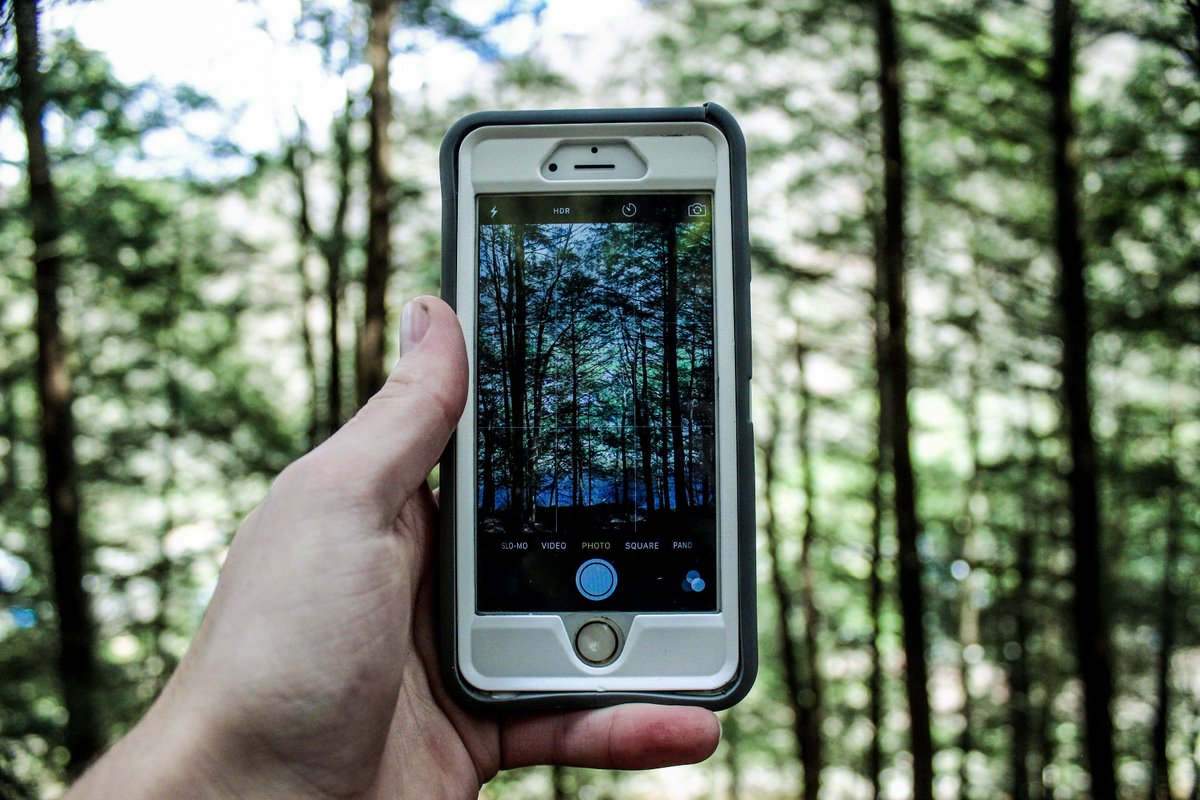 redPAC_'s tweet photo. 🌳En el #DíadelÁrbol conoce una #BBPP para desarrollo #forestal
👉El #bosque digitalizado como fuente de riqueza
➡️https://t.co/CtPPrhppeN
#Innovación #GruposOperativos #1000ogs #digitalizacion https://t.co/WTSzo9y5jv