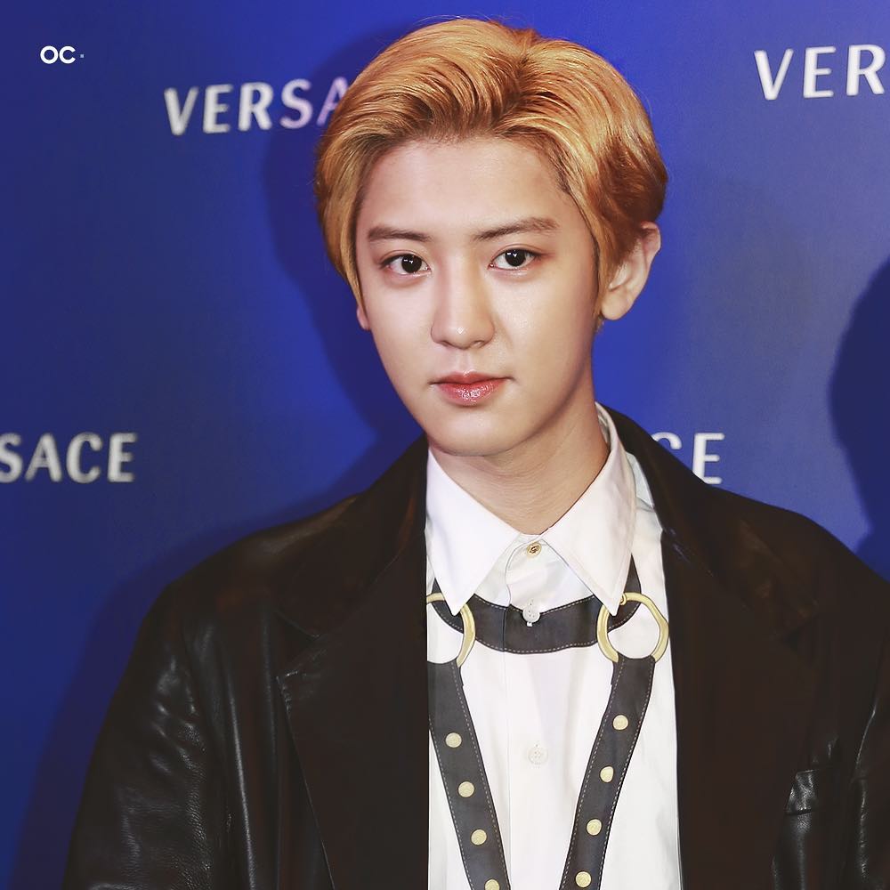 hot_pcy_pict's tweet photo. wow a beauty <3

#Chanyeol_Versace 
#BBMAsTopSocial EXO @weareoneEXO https://t.co/r0W7yuzMYf
