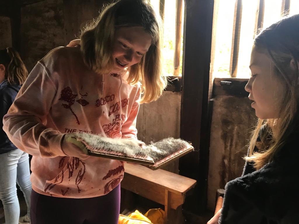 stcatherinessch's tweet image. A few highlights from today’s Year 7 trip! #scshistory