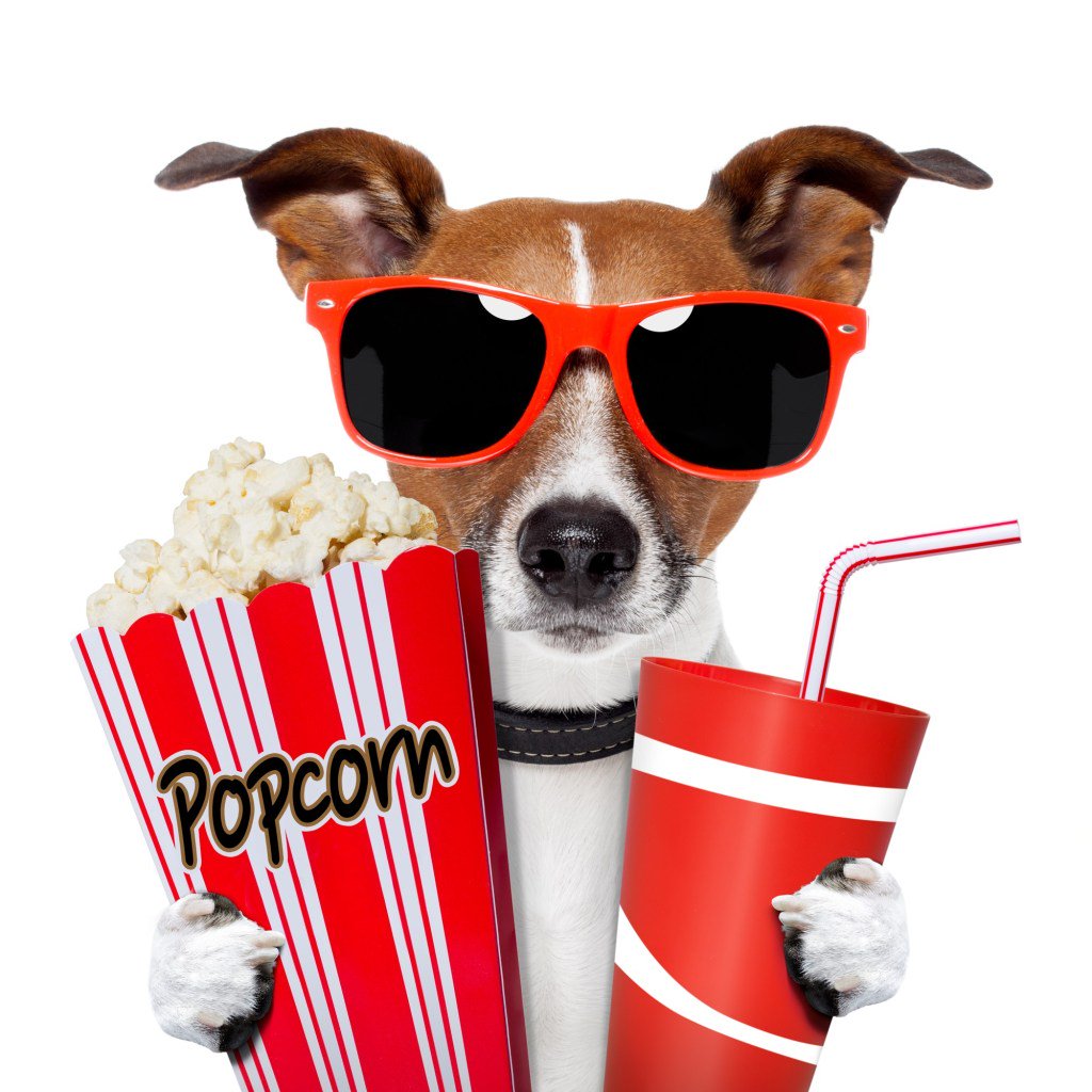 YourFinancesWeb's tweet photo. A Great Website to Find Online Movies https://t.co/fZurw3Wble https://t.co/VNtmJDWKjQ