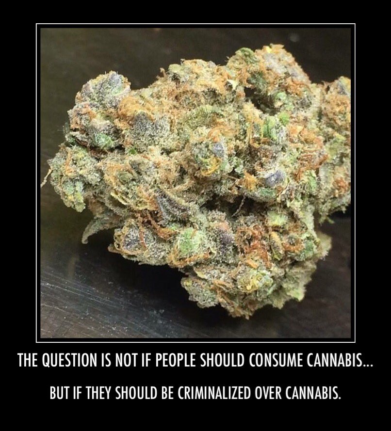 MN Campaign for Full Legalization tweet media