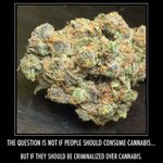 Photo by MN Campaign for Full Legalization (@WeLegalizeItMN)