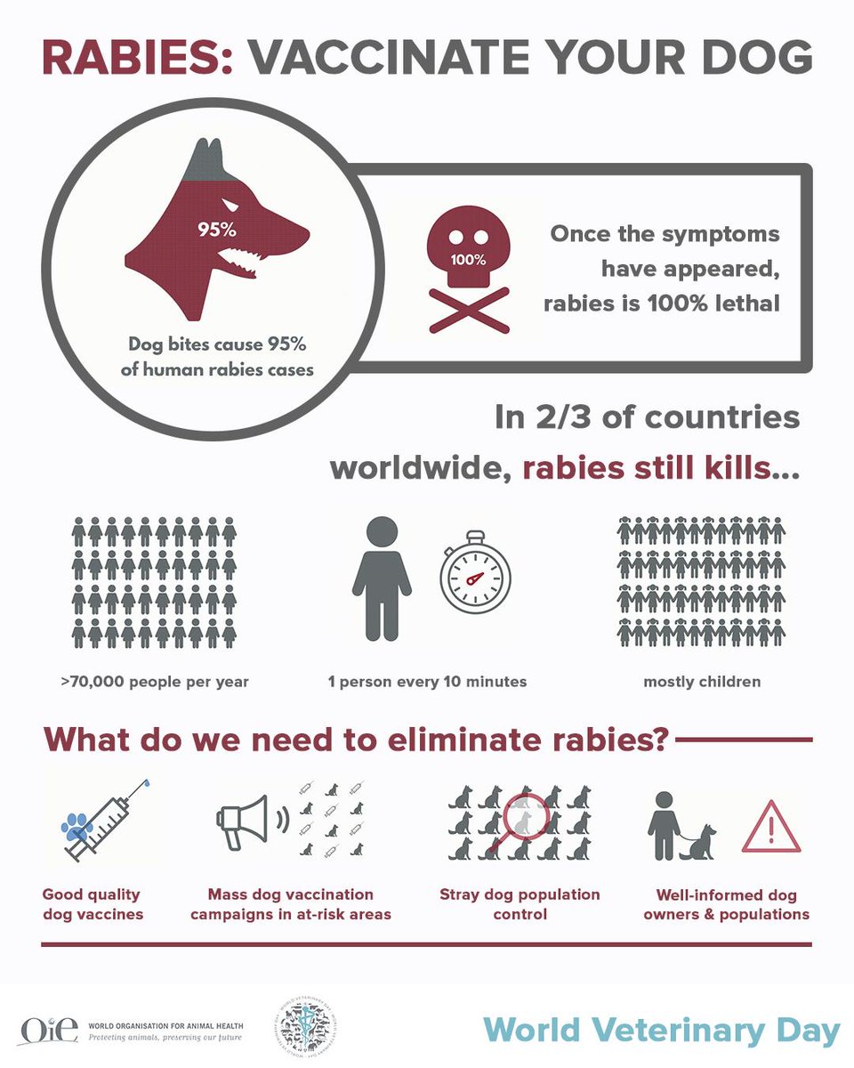 Rabies is still killing 70,000 people per year in the world, but vaccination can help reduce the negative effects that this disease entails on both dogs and people. 
 
#WVD2019 #animalhealth