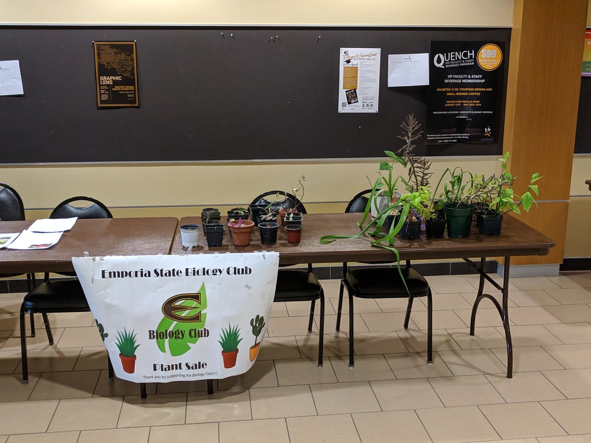 ESUBioClub's tweet photo. Missed out on the plant sale day 1? Fret not! We're back today! In the Union till 2! SO many plant found new homes yesterday, but there's still plenty in need of their "forever home"! https://t.co/u3dxzvSvOo