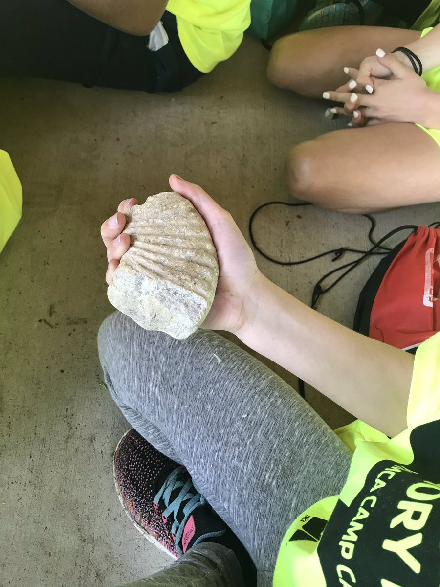 MrsADHES4th's tweet photo. Group 1 learning all about fossils #hescampcarter19 @HESRegalEagle https://t.co/cxHE0Y2yUz