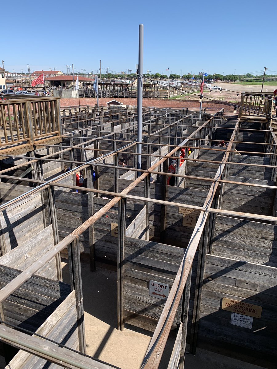 MrsMulkey5's tweet photo. READY. SET. Did you beat the #MAZE ? #Stockyards #Cowtown #CattlePen #fieldtripfun #rm418 https://t.co/vyorF4Oega