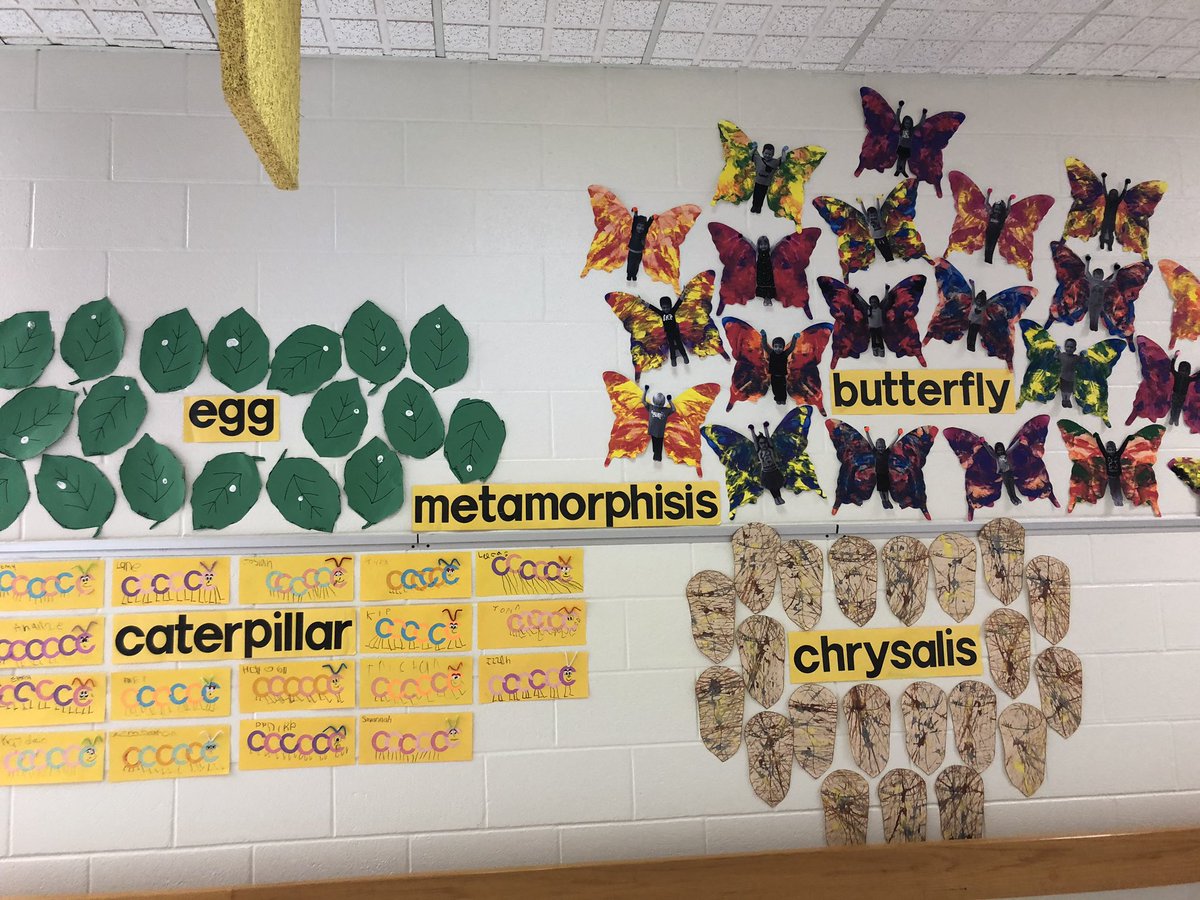 Jessica03001885's tweet photo. Favorite art project of the year!
#metamorphosis #IAmWFISD #wfcunningham #PreK https://t.co/93SnQUtXtg
