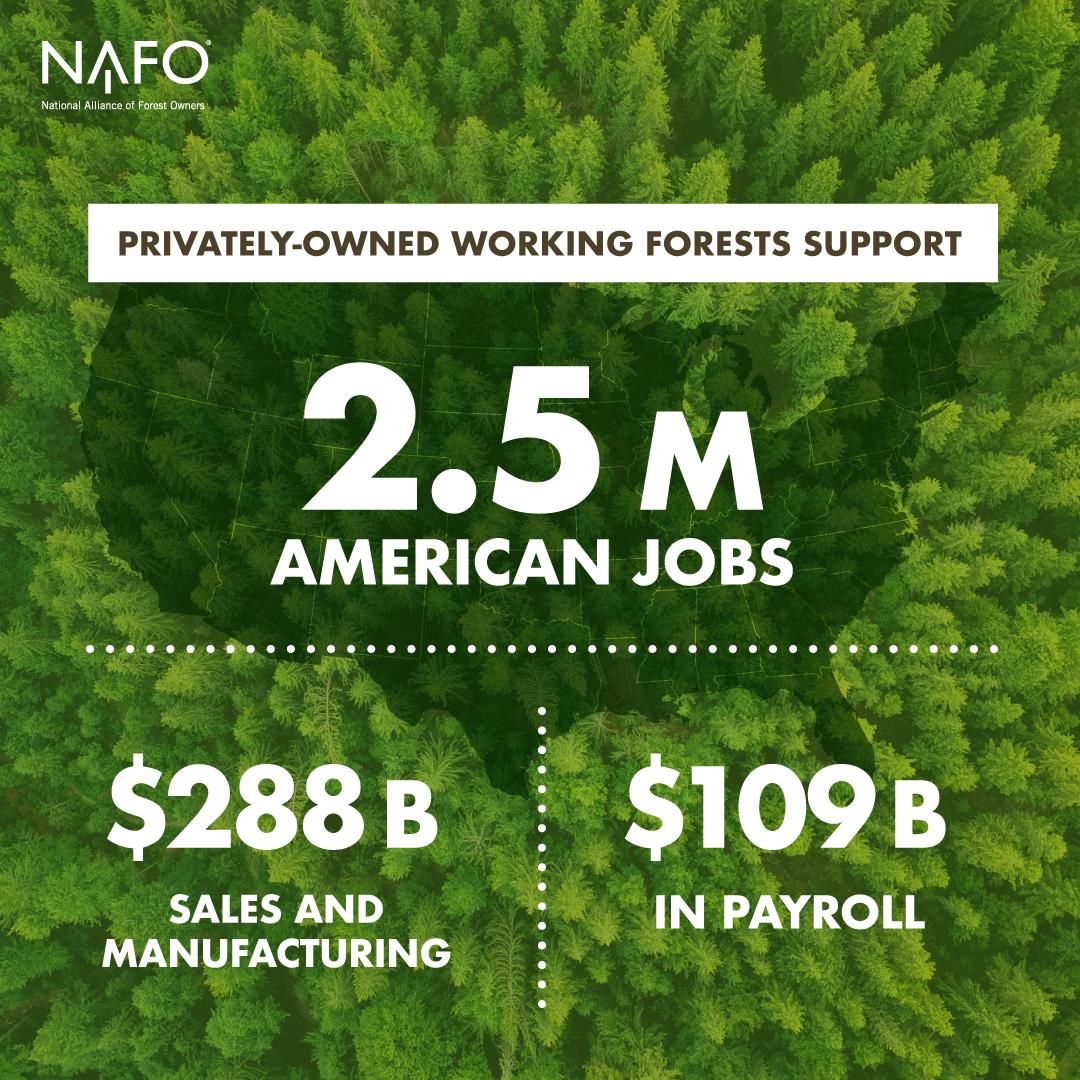 NAFO_Forests's tweet image. NEW REPORT:  Private forests support 2.5 MILLION Jobs!

This new data shows us what we have long known, that #modernforestry is where economic prosperity and environmental stewardship align! 

#forestproud
bit.ly/USForestEconMap