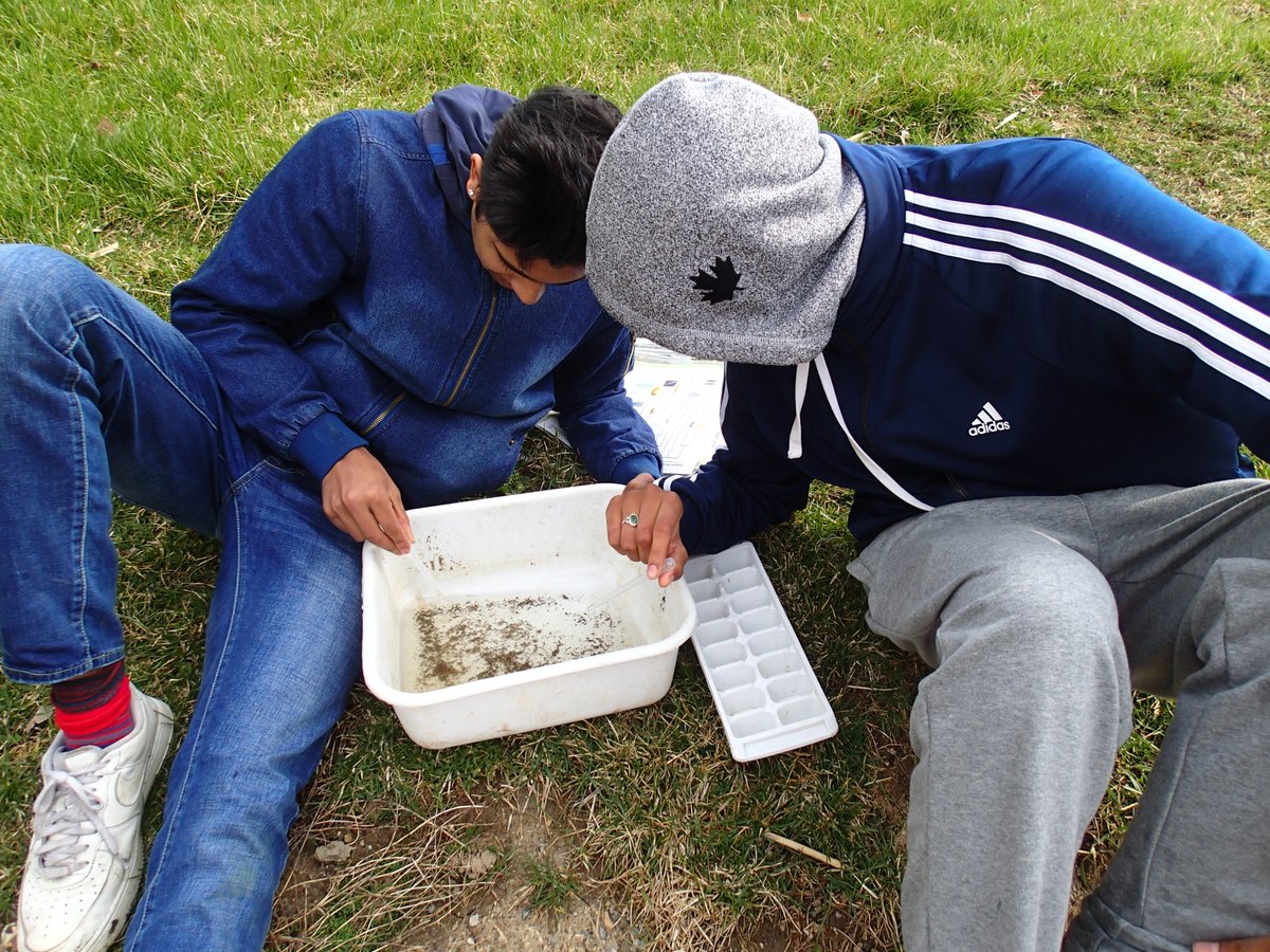 EcoSpark_Env's tweet photo. Changing Currents is underway all across the GTA! Don't miss you opportunity to explore your local waterways. Check out the students from @PeelAlternative exploring the water quality of a stream in Ravenswood Park! #citizenscience #benthics #Changingcurrents #leech https://t.co/WaOwvfuzsg