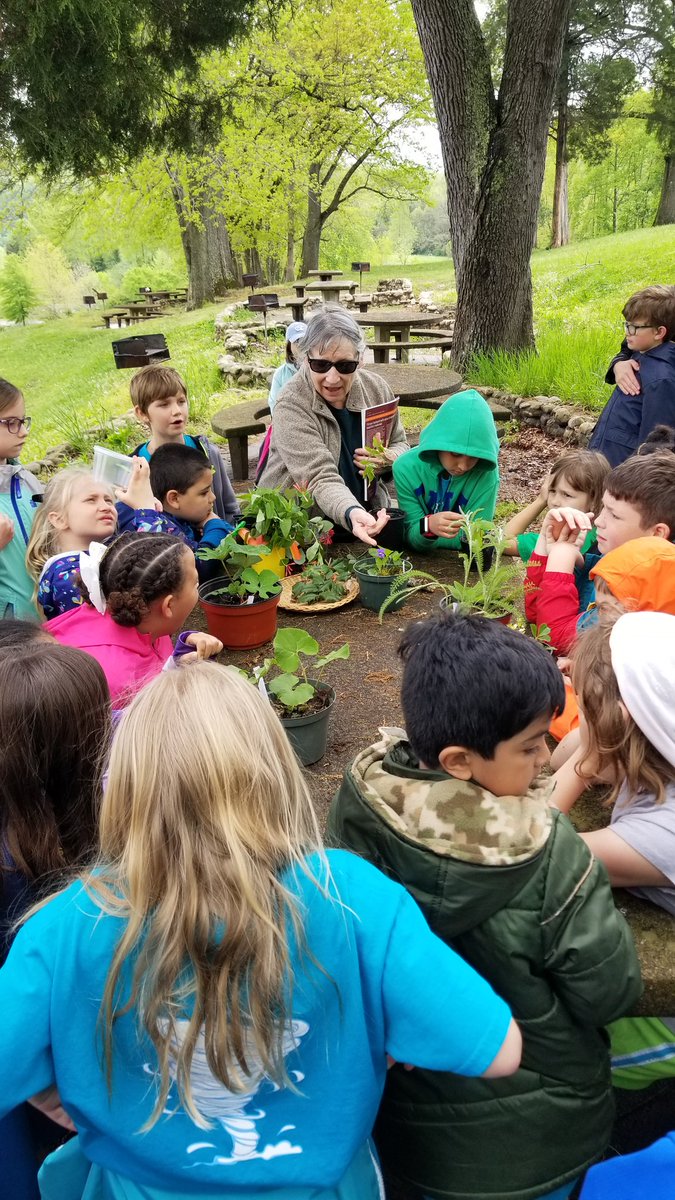 We are learning so much about our local plant life at Warriors' Path State Park!