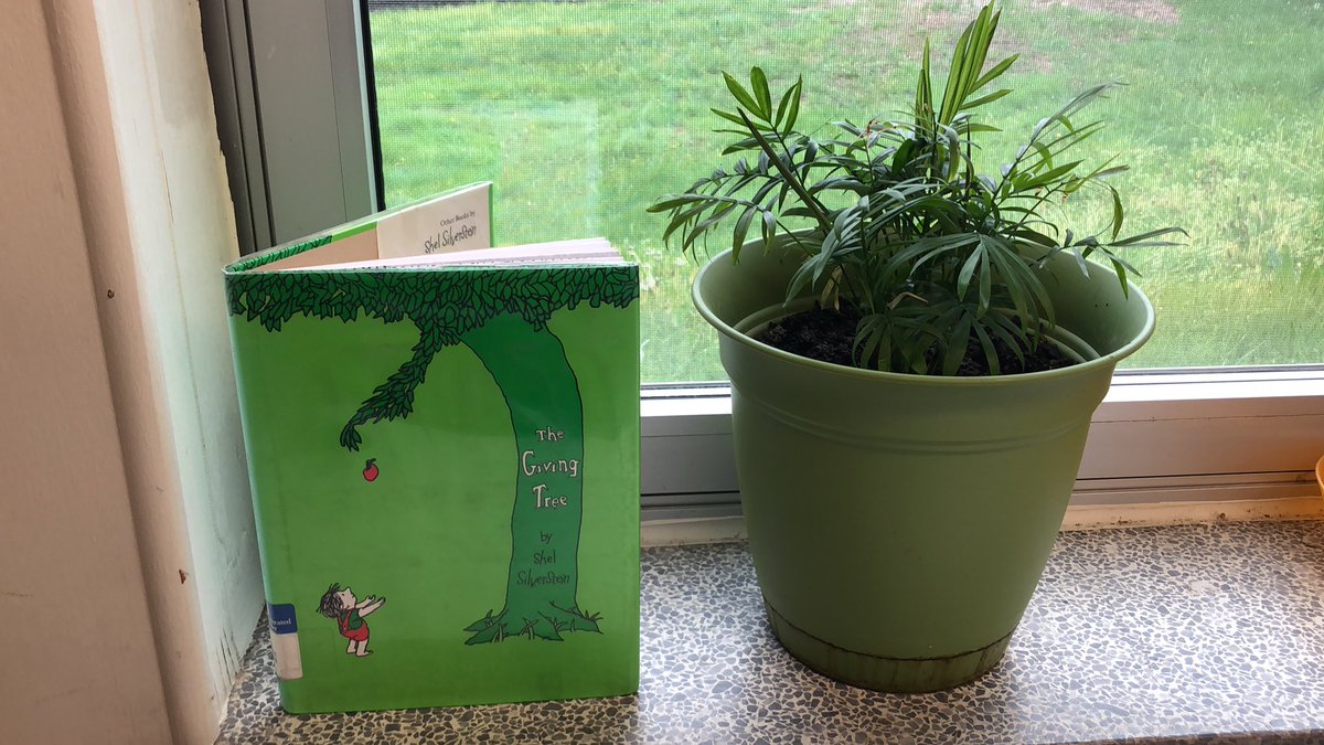 MediaLake's tweet photo. Happy happy Arbor Day! Thank you #shelsilverstein for this truly amazing book! https://t.co/NtydpGSi7e