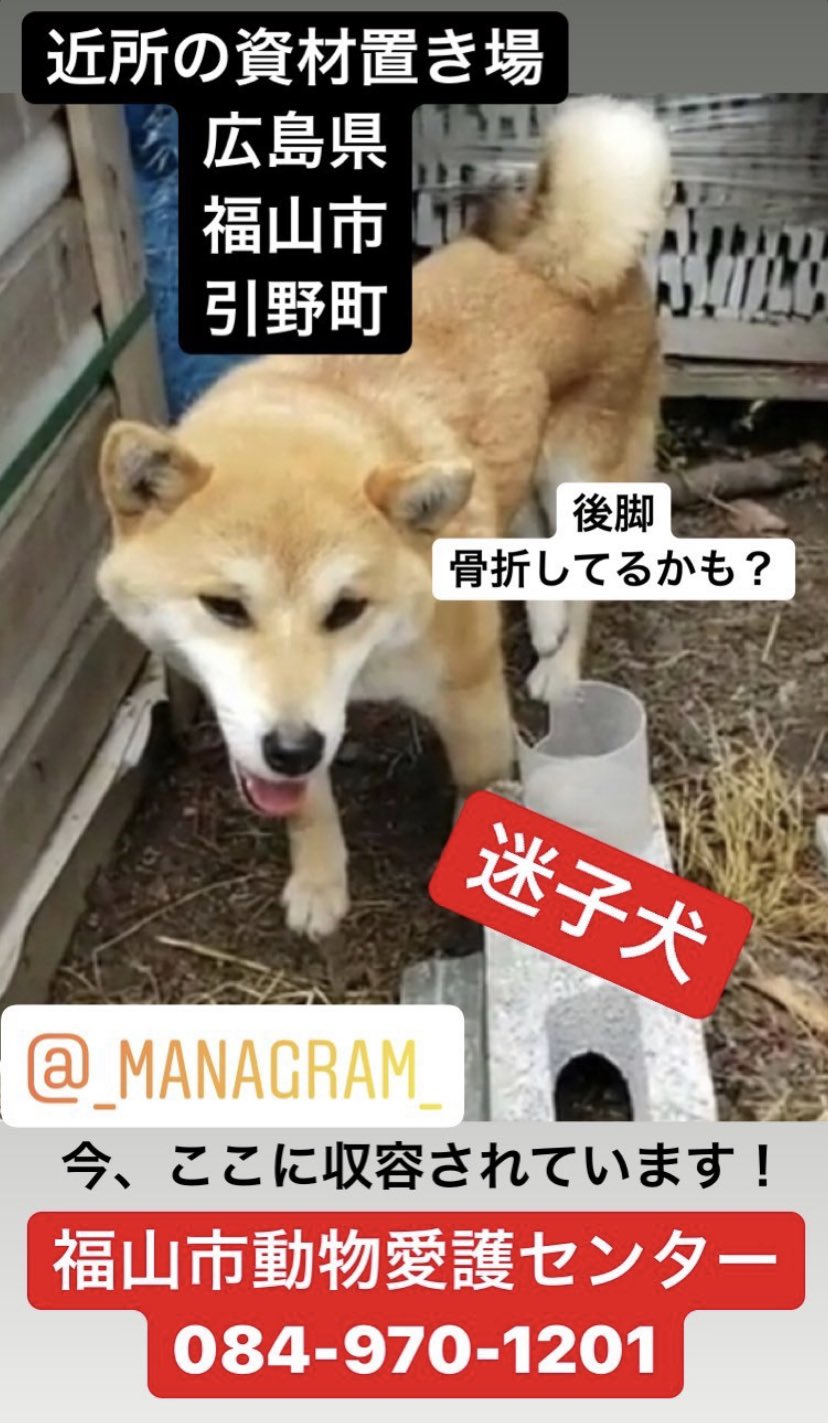 福山市動物愛護センター Twitter Search Twitter