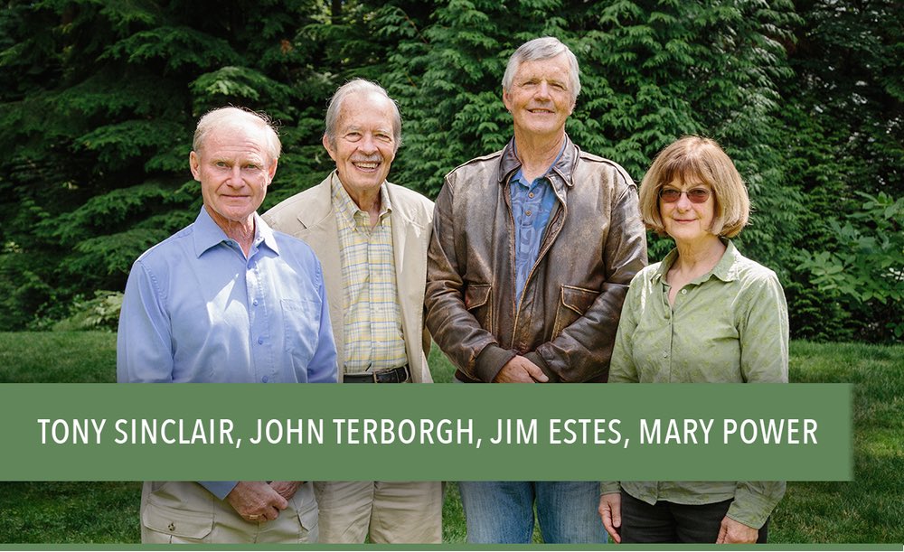 SerengetiRules's tweet image. The scientists featured in THE SERENGETI RULES—Bob Paine, Jim Estes, Mary Power, Tony Sinclair, and John Terborgh—discovered that among the millions of species on our planet, some are far more important than others. LEARN MORE at theserengetirules.com/scientists #LearnTheRules