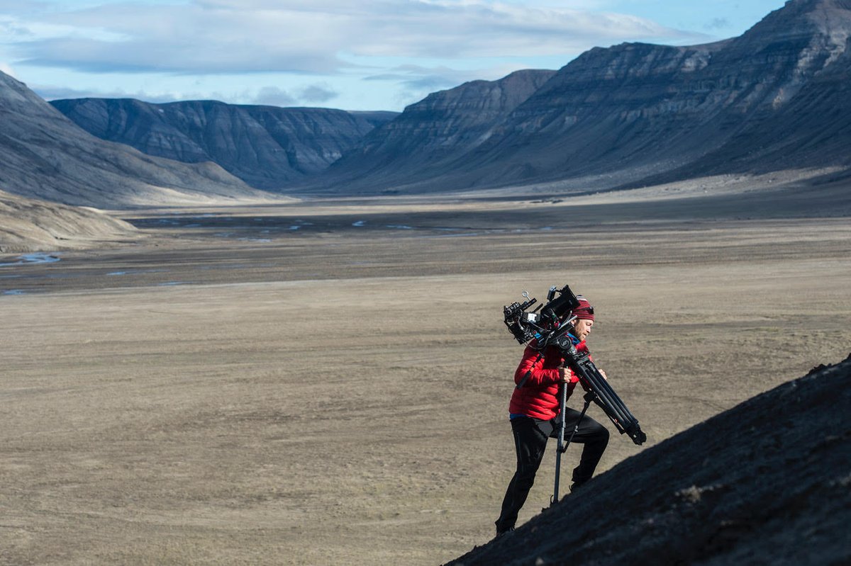 Freeride Entertainment tweet media