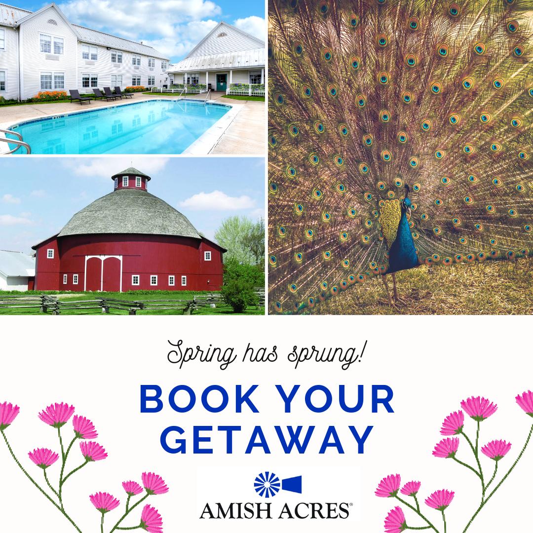 Book your Spring Getaway Package NOW for only 99 bucks! Go back in time, explore, and enjoy the sights and sounds of our Historic Farm &amp; Heritage Resort. Book your two day, one night stay for one low price today at buff.ly/2uGMNBV! #AmishAcres #SpringGetaway #BookToday