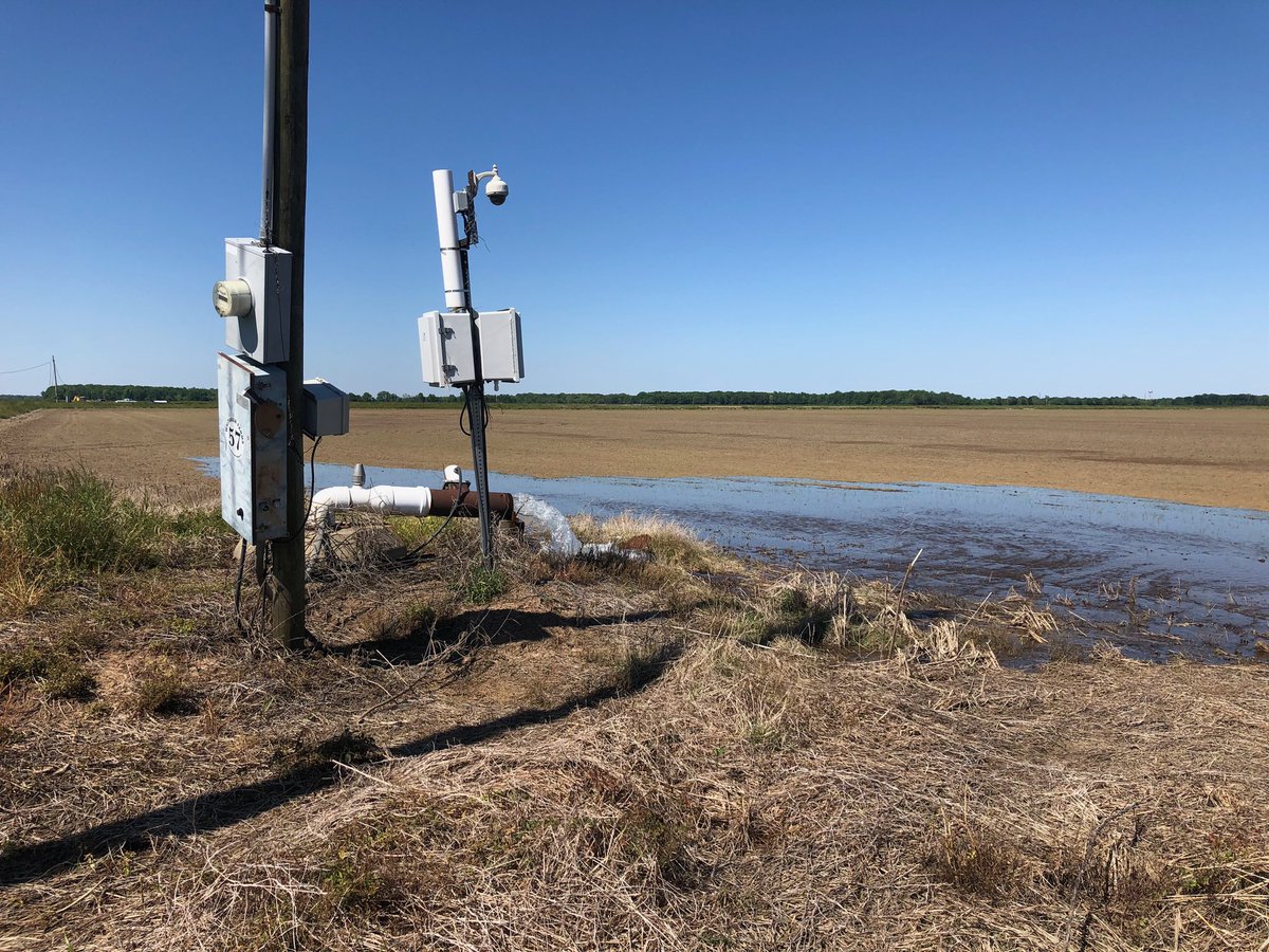 Flush19 has begun.  Only in Arkansas can you have a flood on Monday and drought on Friday!! <a href="/jimwhitaker68/">Jim Whitaker</a> <a href="/JHardke/">Jarrod Hardke</a>