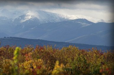 BODEGAS VALLEMAYOR hispamerchants.com/2018/06/25/bod…