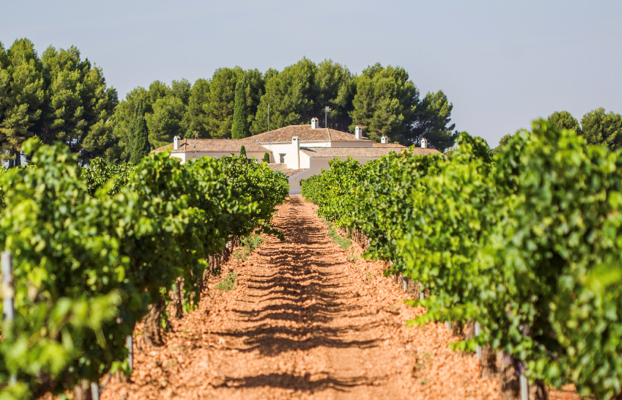 BODEGA LOZANO hispamerchants.com/2018/06/25/bod…
