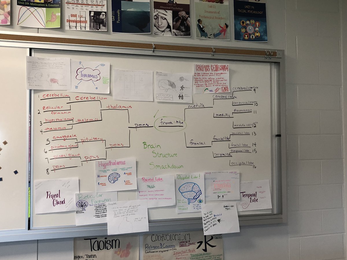 AnkneyOTHS's tweet photo. Frontal lobe wins! #brainstructuresmackdown #didntseethatonecoming #whoneedsamedullaanyway #appsychreview #aimingfor5s https://t.co/Qk97ne4alw