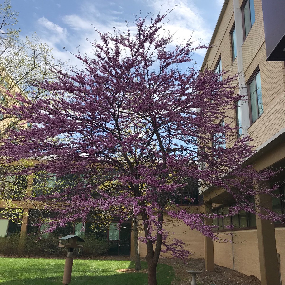 UNLSNR's tweet photo. Happy #ArborDay, yโall, from the current and future #treehuskers of SNR.
#ArborDay2019 #plantatree #nebraskaroots #treehuggers https://t.co/3dQBTYPkMg