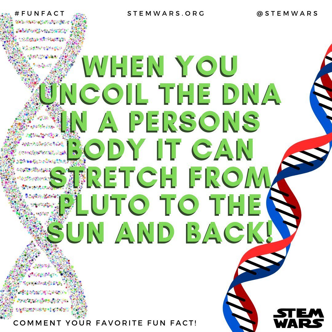 Stem Wars tweet media