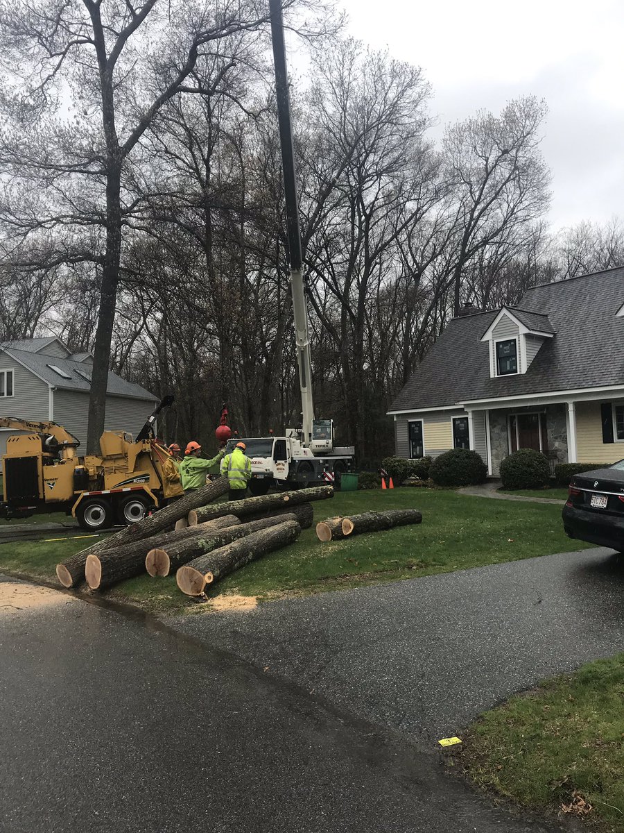 FerrisTreeSvc's tweet image. In Andover today removing some large red oak trees from the back of the house with the crane.