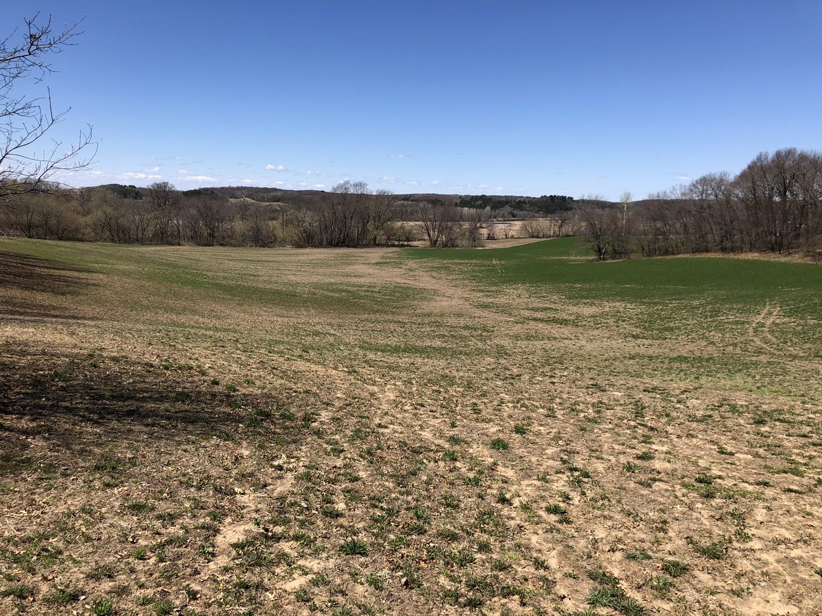 Ryan Bates tweet media