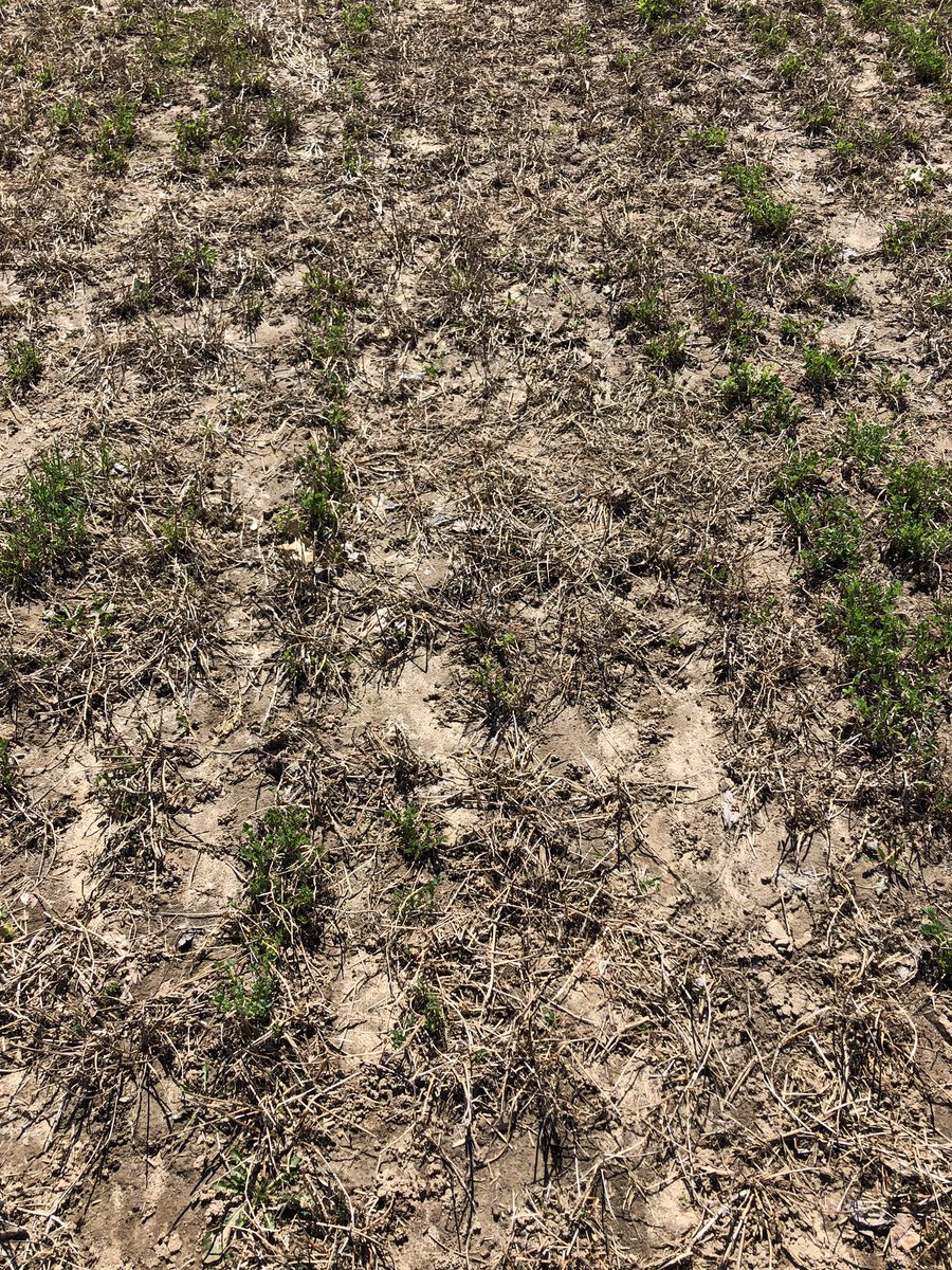 Ryan Bates tweet media