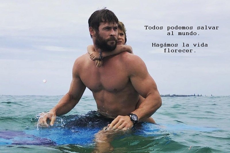 No necesitas ser #Thor para salvar al mundo. 

Juntos hagamos la vida florecer

#AvengersEndgame #Endgame #VengadoresEndgame #Thanos #CapitanAmerica #Marvel #MarvelStudios