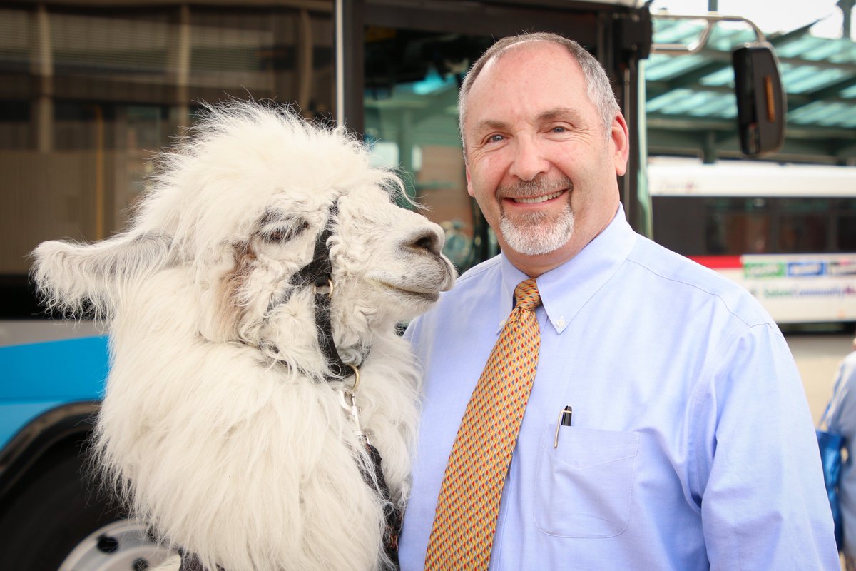 Cherriots's tweet photo. It was the best #GetOnBoard Day ever! Thanks to everyone who came out to support transit and get a llama hug from @CaesarTheLlama. It was great to see so many smiles at the Downtown Transit Center... https://t.co/HiavTeWkpe
